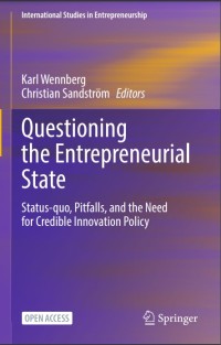 Image of Questioning the Entrepreneurial State