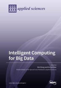 Image of Intelligent computing for big data